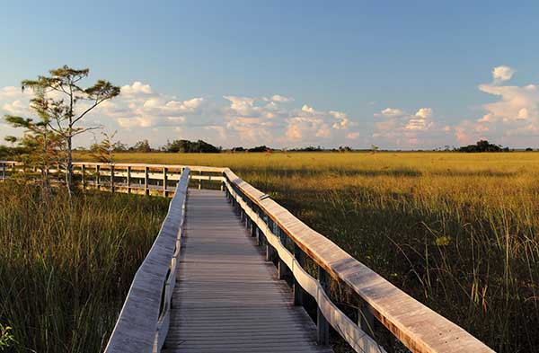 Loxahatchee